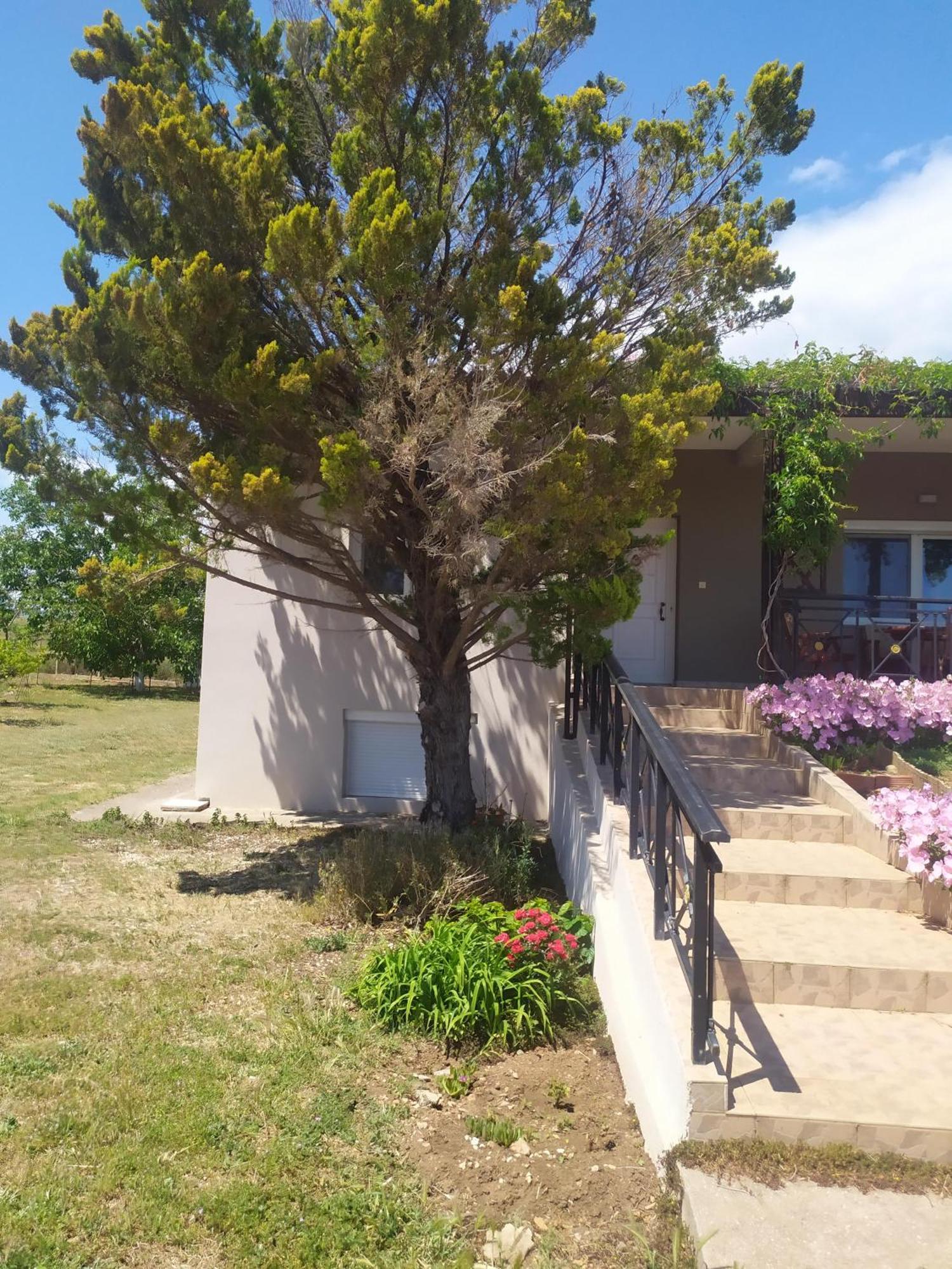 Villa Hill View 4 Alexandroupoli Exterior foto